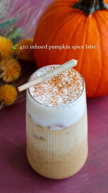 Anna Li on Instagram: "🍃 INFUSED STARBUCKS DUUUUUPE Take this as an open petition for Starbucks🍃 infused beverage options. Until then, here’s how to make your own infused Iced Pumpkin Spice Latte - because as much as we hate to admit it, you know you’ll be welcoming the fall with one of these. Pumpkin latte ingredients: 3 oz espresso 1 tbsp pumpkin puree 1 tbsp maple syrup ¼ tsp pumpkin spice ½ tsp vanilla extract Pinch of sea salt 1 cup Ice Infused Whipping Cream Ingredients: 3 tbsp he Iced Pumpkin Spice Latte, Starbucks Pumpkin Spice Latte, Iced Chai Latte, Watermelon Mojito, Infused Oil, Starbucks Pumpkin, Beverage Recipes, Mojito Recipe, Vanilla Whipped Cream