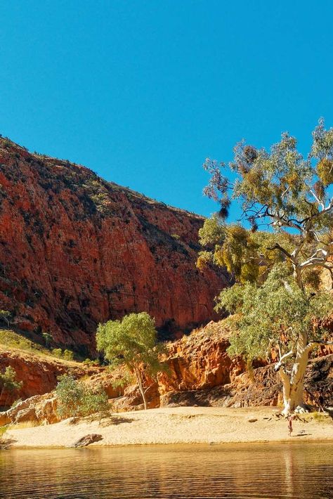 Australian Landscapes, The Gorge, Alice Springs, Mural Ideas, Spring Trip, Red Walls, Spring Aesthetic, Visitor Center, Day Hike