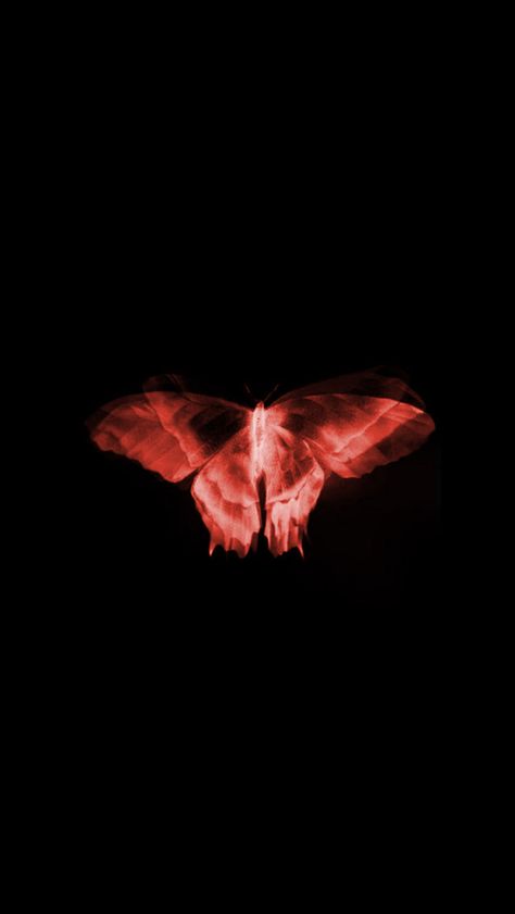 Lovecore Aesthetic, Butterfly Poster, Magic Aesthetic, Red Butterfly, Butterfly Wallpaper, Creative Tattoos, Red Aesthetic, Room Posters, الرسومات اللطيفة