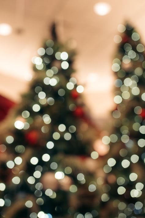 Blurry Christmas Tree, Christmas Tree Photo, Christmas Tree Images, Christmas Tree Wallpaper, Sparkles Background, Creative Commons Images, Tree Photo, Bokeh Lights, Holiday Wallpaper