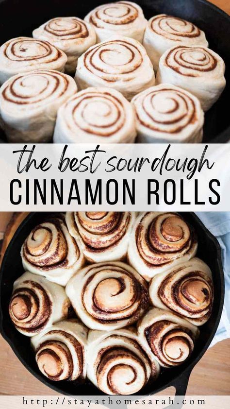 Is there anything more cozy and delicious than super soft and perfectly spiced sourdough cinnamon rolls? The sweet cinnamon and sugar swirled in the soft sourdough bread dough and topped with cream cheese frosting can’t be beat. I can’t wait for you to try this perfect sourdough cinnamon roll recipe! Soft Sourdough Bread, Recipe Using Sourdough Starter, Sourdough Rolls, Sourdough Cinnamon Rolls, Cinnamon Roll Recipe Homemade, Sourdough Starter Discard Recipe, Cream Cheese Topping, Cinnamon Roll Dough, Homemade Sourdough Bread