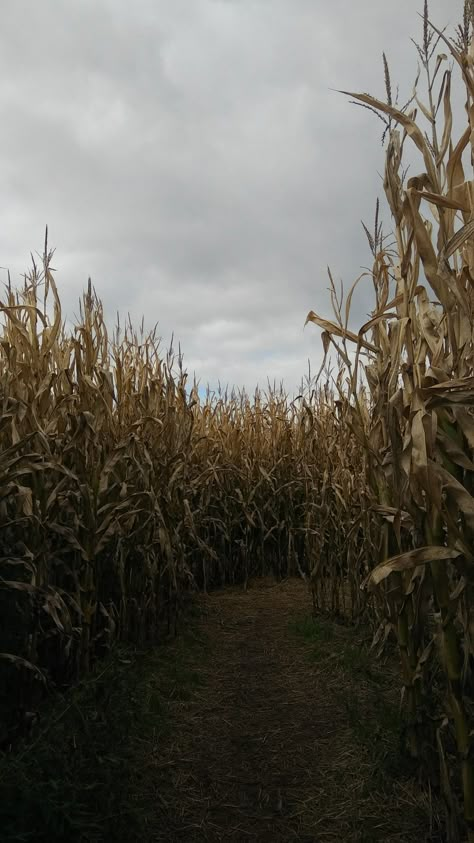 Halloween Farm Aesthetic, Gloomy Countryside, Spooky Cornfield, Corn Maze Aesthetic, October Feels, Barn Aesthetic, Amish Farm, Fall Mood Board, Country Lifestyle