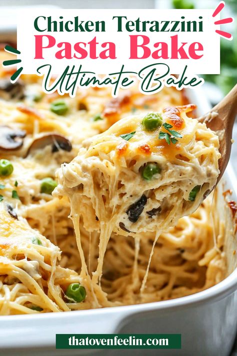 Chicken Tetrazzini Pasta Bake Baked Chicken Tetrazzini, Chicken Tettrazini, Tetrazzini Recipes, Baked Chicken Pasta Recipes, Chicken Tetrazzini Recipes, Ravioli Bake, Chicken Casseroles, Chicken Tetrazzini, Main Entrees