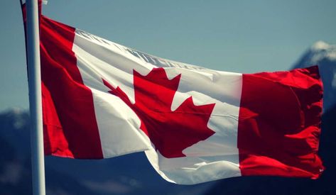 Canada is set to welcome nearly one million new permanent residents by 2020 Canadian Humor, Meanwhile In Canada, Canadian Things, Pirate Bay, I Am Canadian, Canada Eh, Happy Canada Day, O Canada, Canadian History