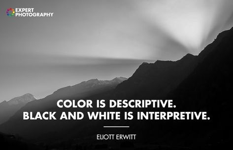 12 Best Black & White Photography Quotes Black And White Photography Quotes, White Color Quotes, Black And White Captions, Photographer Quotes, Black And White Quotes, Nature Photography Quotes, Portrait Quotes, Dr. Seuss, White Quotes