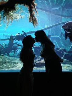 Blue Lesbian Aesthetic, Aesthetics Of Lesbians, Aesthetic Couple Pics Wlw, Wlw Proposal Aesthetic, Aquarium Date Wlw, Aquarium Aesthetic Couple, Wlw Aesthetic Spicy, Girl Couple Aesthetic, Cute Wlw Aesthetic