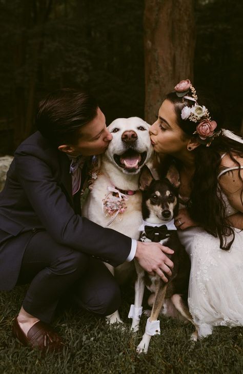 All love + smiles in this week's Top Pics | Image by Natasha Shapiro Dog Wedding Photos, Photos With Dog, Wedding Picture Poses, Cute Wedding, Wedding Pets, Cold Spring, Wedding Photography Tips, Dog Photo, Wedding Photos Poses