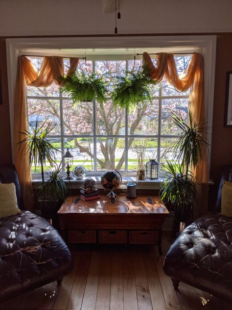 Front Window Interior Decor, Bay Window Shelf Decor, Mcm Bay Window, Bay Window Cottage, Picture Window Decorating Ideas, Bay Windowsill Decor, Bay Window Drapes Ideas, In Front Of Window Decor, Cottagecore Bay Window