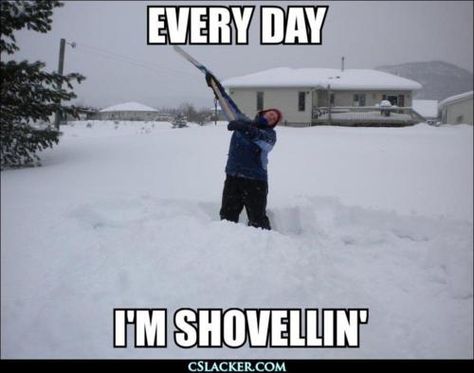 i'll be thinking this in the morning.........again Snow Day Meme, Snow Meme, Cheesy Memes, Hate Winter, Shoveling Snow, Tuesday Humor, Dump A Day, The Snow, I Laughed