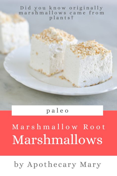 Marshmallow With Marshmallow Root, Marshmallows With Marshmallow Root, Herbal Marshmallow Recipe, Aip Marshmallow Recipe, Marshmallow Powder Uses, Marshmallow Recipe With Marshmallow Root, Homemade Mini Marshmallows, Vegan Marshmallows Recipe, Natural Marshmallow Recipe