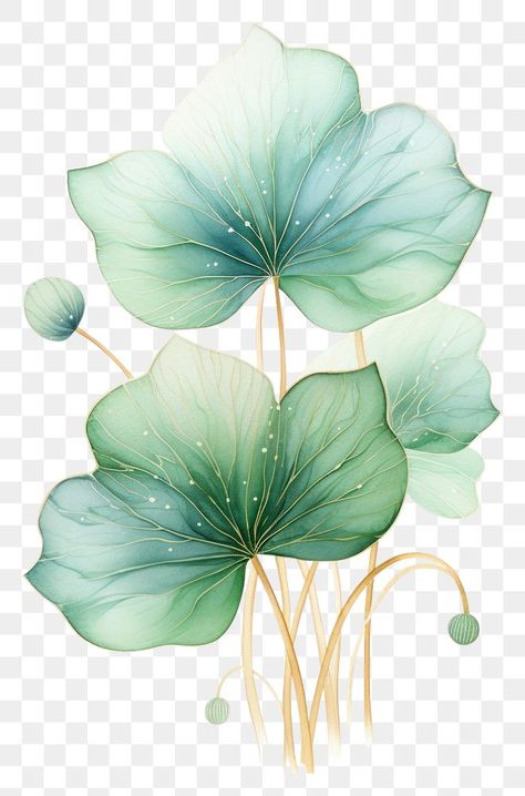 Lotus Leaf Drawing, Dupatta Painting, Chinese Lotus, Lotus Painting, Leaf Outline, Digital Texture, Floral Border Design, Leaf Drawing, Lotus Leaves