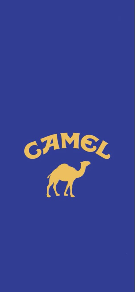 Camel Wallpaper, Iphone Wallpapers, Camel, Iphone Wallpaper, Wallpapers, Iphone, Quick Saves