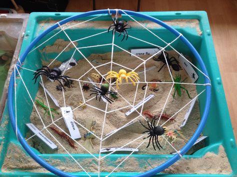 Insect Tuff Tray Ideas, Insect Tuff Tray, Sand Tray Activities, Mini Beast Tuff Tray, Sand Tray Ideas, Sand Tray Ideas Eyfs, Minibeasts Eyfs, Minibeasts Activities, Tuff Tray Ideas Toddlers