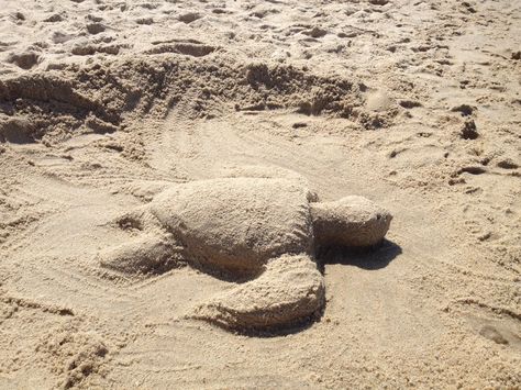 Sea turtle 2 sand sculpture by Dawn Gould Beach Sand Castles, Sand Sculptures, Sand Castle, Beach Sand, Sea Turtle, Beach Pictures, Elephant, Carving, Sculpture