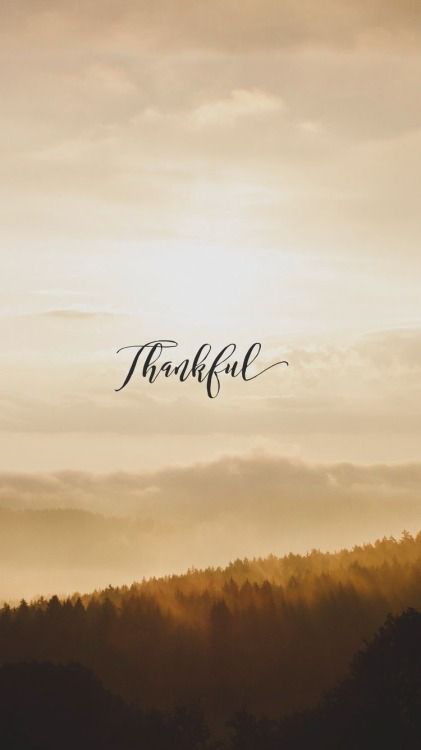 Grateful Wallpaper, November Quotes, November Wallpaper, Thanksgiving Wallpaper, Cute Fall Wallpaper, Iphone Wallpaper Fall, Free Iphone Wallpaper, Autumn Quotes, Wallpapers Iphone