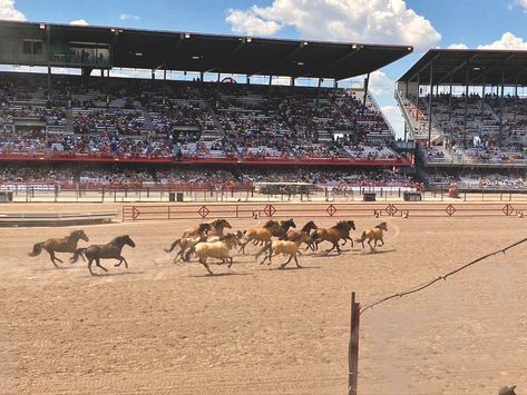 Casper Wyoming, Cheyenne Frontier Days, Cheyenne Wyoming, Dodge City, Cattle Drive, Wyoming Travel, Western Town, Fort Smith, History Museum