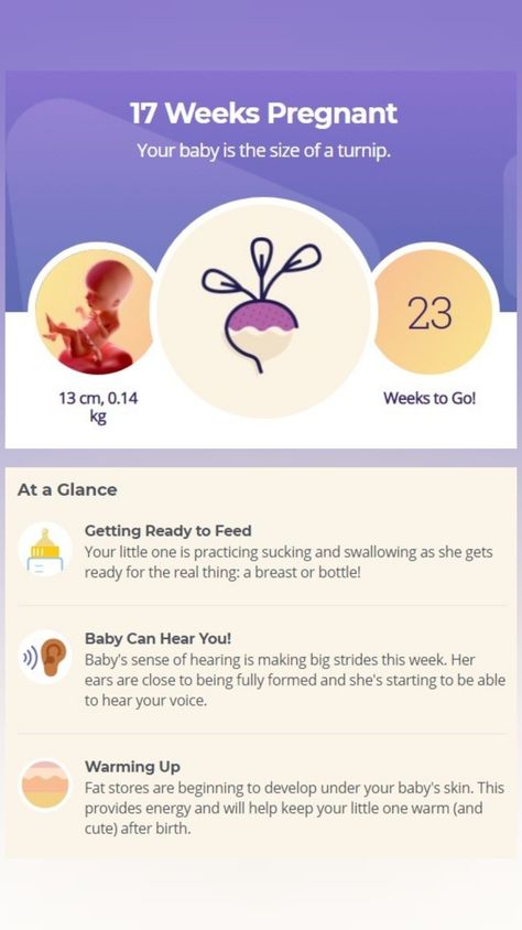 Pregnancy 17 Weeks, Weeks Of Pregnancy Chart, Stages Of Pregnancy Weekly, Pregnancy Development, 9 Weeks Pregnant Symptoms, 5 Weeks Pregnant Symptoms, 17 Weeks Pregnant, 6 Weeks Pregnant Symptoms, Fetal Movement