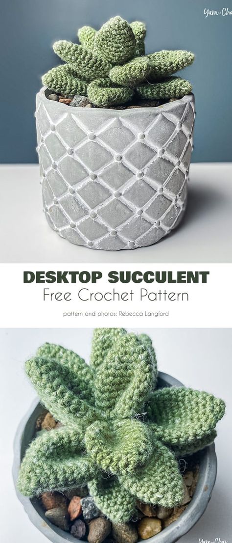 Amigurumi Plants, Cactus En Crochet, Corak Krusye, Crochet Succulent, Confection Au Crochet, Crochet Cactus, Pola Amigurumi, Crochet Plant, Stil Boho