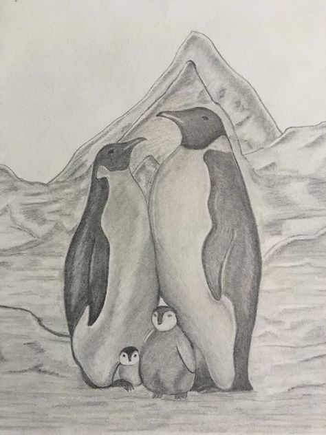 Easy Pencil Drawings, Pencil Drawings Of Animals, Realistic Pencil Drawings, Nature Art Drawings, Animal Drawings Sketches, Penguin Art, Pencil Drawings Easy, Art Drawings For Kids, Amazing Art Painting