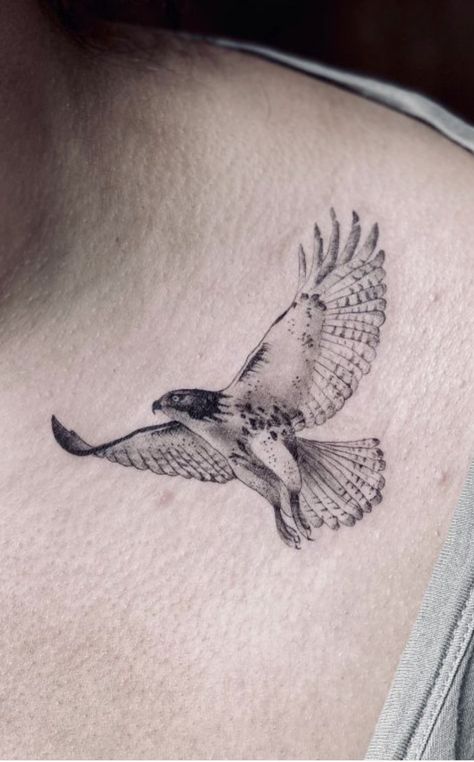 A Bird Tattoo, Raven Tattoos, White Bird Tattoos, Falcon Tattoo, Hawk Tattoo, Vogel Tattoo, Dr Woo, Petit Tattoo