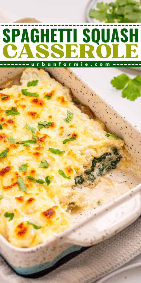 This spaghetti squash casserole has become my go-to quick, healthy and no-hassle dinner. With tender spaghetti squash, creamy ricotta and mozzarella, and savory mushrooms and spinach, this dish has become a household favorite! It’s so easy to throw together and bakes beautifully, so what's not to love? Cheesy Casserole Recipes, Easy Spaghetti Squash, Mushrooms And Spinach, Veggie Side Dish Recipes, Spaghetti Squash Casserole, Dinner Recipes Healthy Family, Easy Spaghetti, July Recipes, Vegetarian Sides