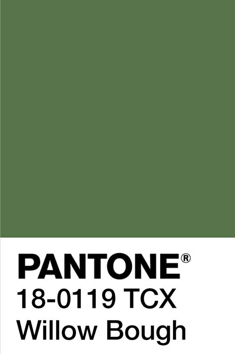 Dill Plant, Green Pantone, Logo Theme, Pantone Colours, Mineral Green, Loden Green, Pantone Colour Palettes, English Ivy, Forest Color