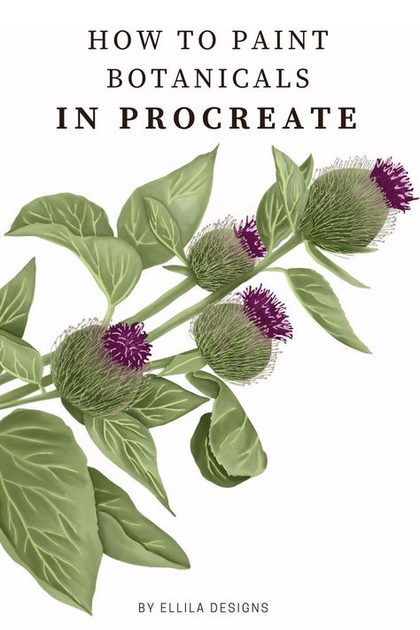 This video shows you how this botanical illustration is made in procreate #timelapse #botanical #procreate #botanicalstyle #howto #timelapse #time-lapse #digitaldrawing #drawing #painting Learn Botanical Illustration, Procreate Digital Illustration, Procreate Illustration Tutorial, Procreate Techniques, Procreate Lessons, Procreate Step By Step, Procreate Dreams, Procreate Timelapse, Procreate Resources