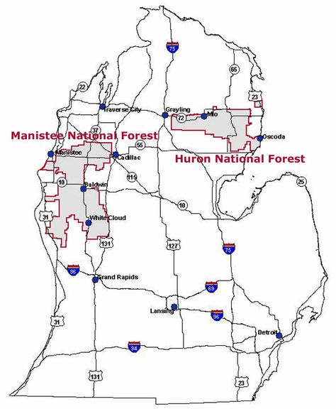 Map of the Huron-Manistee National Forests showing the location of the Forests within Michigan Manistee National Forest, Travel Michigan, Forest Map, Michigan Travel, Printable Maps, Camping Spots, Future Travel, North America Travel, Michigan State