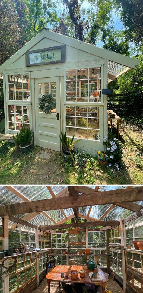 Green House Out Of Windows, Greenhouse Of Old Windows, Old Window Greenhouse Diy Recycled Door, Used Window Greenhouse, Diy Green House With Old Windows, Greenhouse With Windows, Greenhouse Ideas With Old Windows, Diy Greenhouse Windows, Diy Greenhouse Old Windows