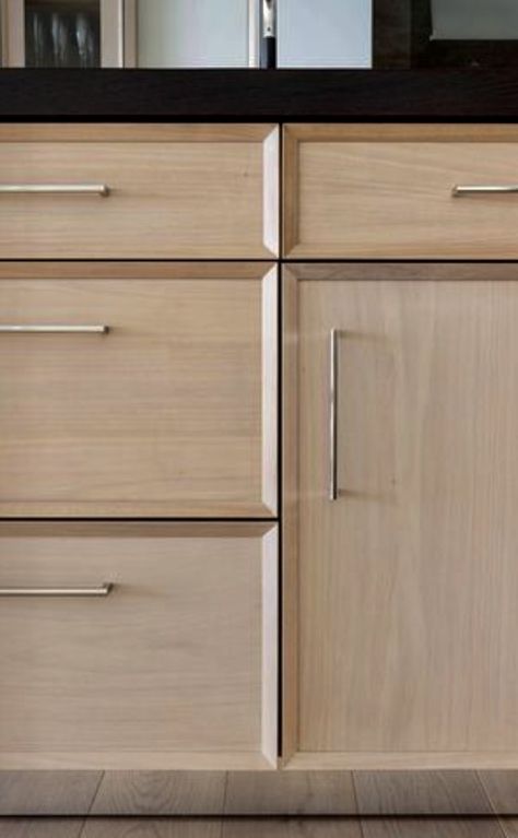 Modern Inset Kitchen Cabinets, Cabinet Fronts Styles, Cabinet Profiles, Flat Panel Kitchen Cabinets, Downstairs Kitchen, Slab Cabinet Doors, Kitchen Cabinets Fronts, Chicago Kitchen, Cabinet Door Style