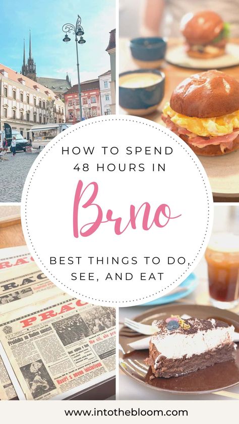 Prague Guide, Brno Czech Republic, Nitro Cold Brew, European City Breaks, Coffee Roastery, Brno, I Want To Travel, Speciality Coffee, City Break