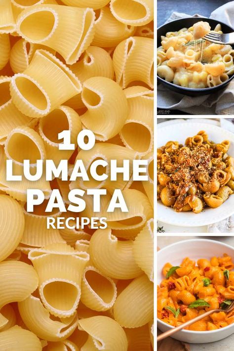 10 Lumache Pasta Recipes Lumaconi Pasta Recipes, Fusilli Bucati Pasta Recipes, Lumaconi Recipe, Lumaconi Pasta, Fusilli Bucati, Spring Pasta Recipes, Holy Cannoli, Spring Pasta, Vodka Pasta