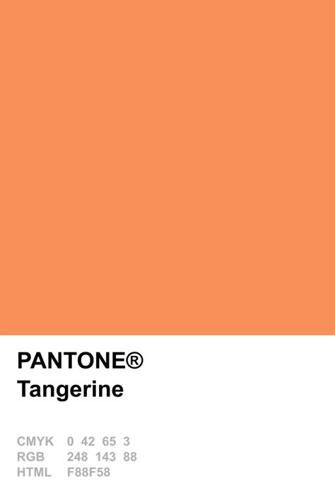 Pantone 2015 Tangerine Tangerine Pantone, Pantone Cmyk, Pantone Orange, Pantone 2015, Pantone Colours, Pantone Swatches, Pantone Palette, Pantone Colour Palettes, Tangerine Color