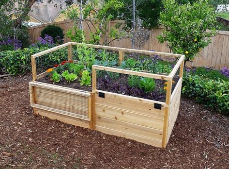 Garden Bed | Raised Gardening Kit 6'x3' - Outdoor Living Today High Raised Garden Beds, Cedar Raised Garden Beds, Garden Boxes Raised, Cedar Garden, Vegetable Garden Raised Beds, Vertical Vegetable Garden, Garden Vines, Sloped Garden, Garden Shrubs