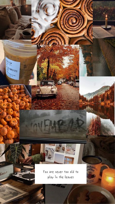 November Vision Board Wallpaper, Fall November Aesthetic, November Aethstetic, Fall Wallpaper Aesthetic November, November Themed Wallpaper, November Lockscreen Iphone, November Wallpapers Aesthetic, November Mood Board Aesthetic, November Astethic