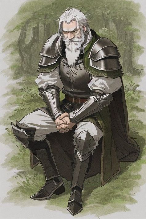 Old Knight Art, Dnd Adventurer Art, Old Soldier Fantasy Art, Old Knight Fantasy Art, Old Man Concept Art, Dnd Knight Art, Dnd Old Man, Old Man Dnd, Old Dnd Character