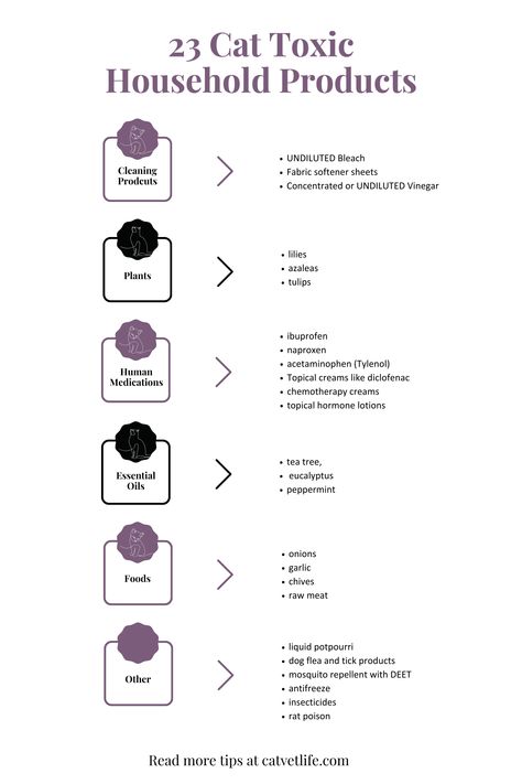 Discover the hidden dangers lurking in your home that are cat poison for your feline friends. This comprehensive list covers toxic plants for cats, toxic food for cats, and even essential oils toxic to cats. Get the list of the most common toxic household products for cats. Cat wellness is more than just cat nutrition. Get these important cat and kitten health tips now to create a happier, healthier home for your kitty. Save this pin for later. Essential Oils Toxic To Cats, Toxic Things For Cats, Herbs For Cats, Human Food For Cats, Raw Cat Food Diet, Toxic Household, Cat Friendly Plants, Toxic To Cats, Food For Cats