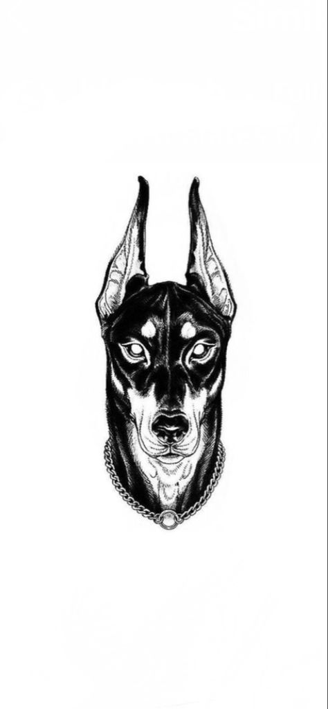 Drawings Of Dobermans, Doberman Pinscher Tattoo Ideas, Doberman Tattoo Design Line, Dober Man Tattoo, Dog Tattoo Doberman, Doberman Barking Tattoo, Doberman Skull, Doberman Pinscher Tattoo, Cerberus Doberman