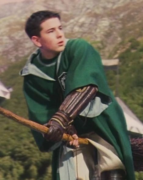 Quidditch Slytherin, Slytherin Student, Rose Granger Weasley, Slytherin Quidditch, Hogwarts Quidditch, Harry Potter Wiki, Harry Potter Owl, Oliver Wood, Philosopher's Stone