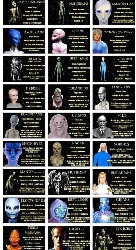 Different Alien Species, Reptilians People, The Greys Aliens, Sirian Starseed Traits, Reptilian Starseed, Pleiadians Aliens, Conspiration Theories, Aliens Races, Starseed Types