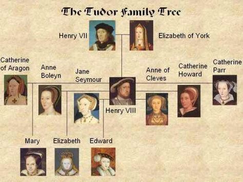 Tudor Family Tree Ratu Elizabeth, The Tudor Family, Mary Boleyn, Tudor Period, Elizabeth Of York, Royal Family Trees, Tudor Dynasty, English Royal Family, Tudor Era