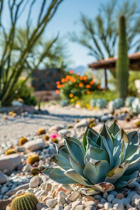 Arizona Backyard Landscaping Ideas for Your Oasis Desert Oasis Aesthetic, Arizona Backyard Landscaping, Dessert Landscaping, Desert Landscaping Backyard, Arizona Backyard, Arizona Homes, Small Urban Garden, Courtyard Landscaping, Arizona Landscape