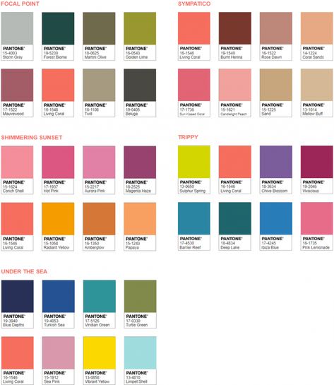 color of the year 2019 Living Coral color palette ideas Living Coral Pantone, Coral Reef Color, Coral Colour Palette, Pantone Color Chart, Coral Colour, Pantone Palette, Pantone Colour Palettes, Colour Shades, Palette Ideas