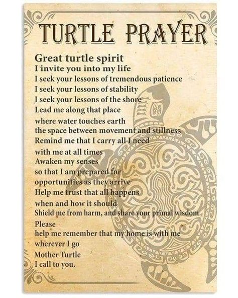 Animal Prayers, Mohawk Tribe, Huron Indians, Wheel Aesthetic, Turtle Spirit Animal, Native American Knowledge, Spiritual Elements, Missionary Quotes, Native American Prayers