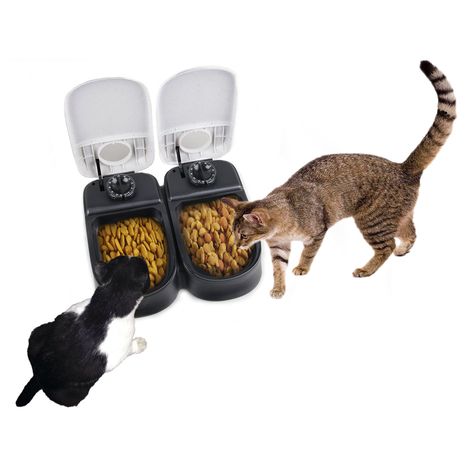 PAWISE Automatic Pet Feeder 2Meal Food Dispenser Timed Food Bowl for Dogs Cats *** Find out more evaluations of the item by visiting the link on the photo. (This is an affiliate link). #smallanimalfeedingwateringsupplies Pet Cafe, Pet Food Dispenser, Jackson Galaxy, Food Dispensers, Dry Food Storage, Automatic Feeder, Airline Travel, Food Dispenser, Cat Feeder