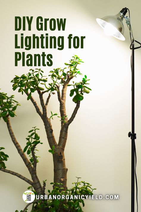 Grow Light Ideas, Grow Lights Diy, Diy Grow Light, Dyi Garden, Best Grow Lights, Best Led Grow Lights, Indoor Plant Wall, Plant Tips, Aquaponic Gardening