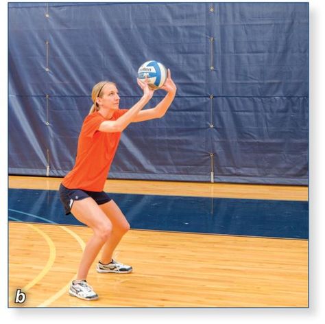 Volleyball: Steps to Success: Overhead Passing Free Rewards, Steps To Success, First Second, Volleyball, Basketball Court, The First