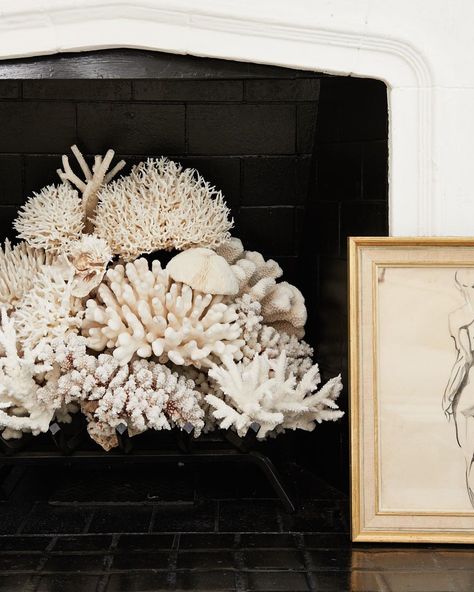 Mark D. Sikes Interiors on Instagram: “If your running low on firewood, try stacking lots of coral. Ⓜ️” Cereal Magazine, Shell Chandelier, Coral Decor, She Sells Seashells, Coastal Living Rooms, Faux Fireplace, Small Sculptures, Design Sponge, Eclectic Interior