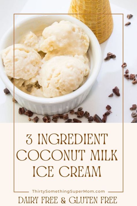 Ice Cream Made With Coconut Milk, Coconut Milk Ice Cream Recipe Ninja Creami, Ninja Creami Ice Cream Recipes Coconut Milk, No Egg Ice Cream Maker Recipes, Coconut Milk Creami Ninja, Coconut Milk Ninja Creami, How To Make Coconut Milk Ice Cream, Homemade Coconut Milk Ice Cream, Coconut Based Ice Cream