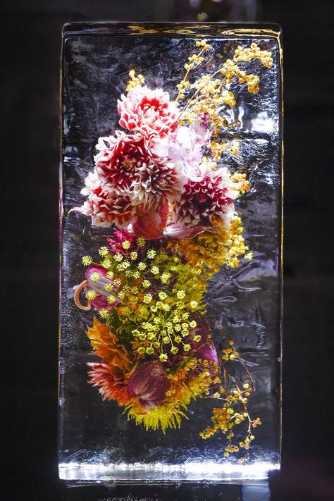 Azuma Makoto's floral arrangements suspended in blocks of ice Azuma Makoto, Flower Ice, Foto Art, Arte Floral, Japanese Artists, Land Art, Dries Van Noten, Ikebana, Flowers Photography